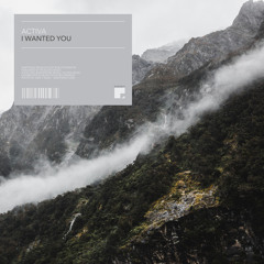 I Wanted You (Original Mix)