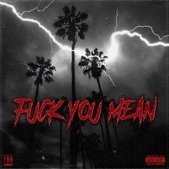 Lil Scoom89 x YOUN9 BEV - Fuck You Mean (Remix)