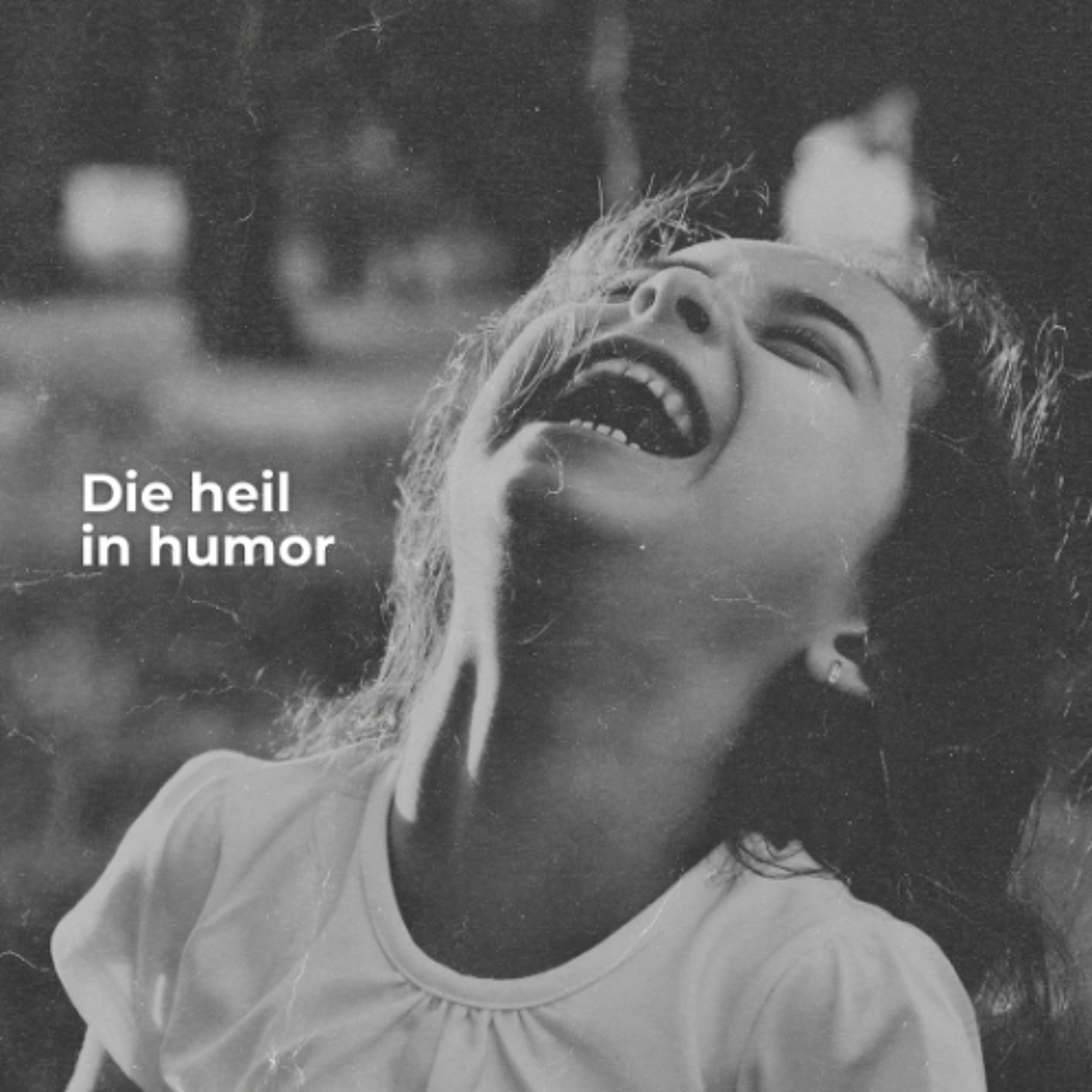 Die Heil In Humor deur Frieda van den Heever