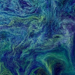 W A V E