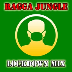 Telle - RAGGA JUNGLE Lockdown Mix 15.02.2021