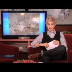 midnight prod me i i