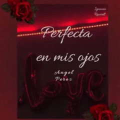 Perfecta en Mis Ojos(Slowed)-Angel perez