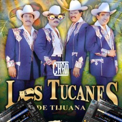 Los Tucanes De Tijuana - Espejeando (Chan Remix)