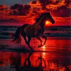 Dreams