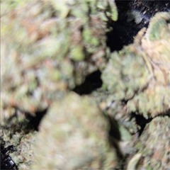 clairvoyant (prod.1hundro