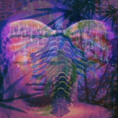 the way you (trinxty) lyrics in desc