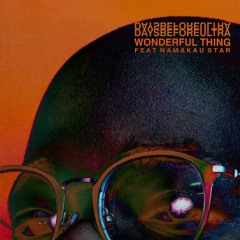 WONDERFUL THING (feat. Namakau Star)