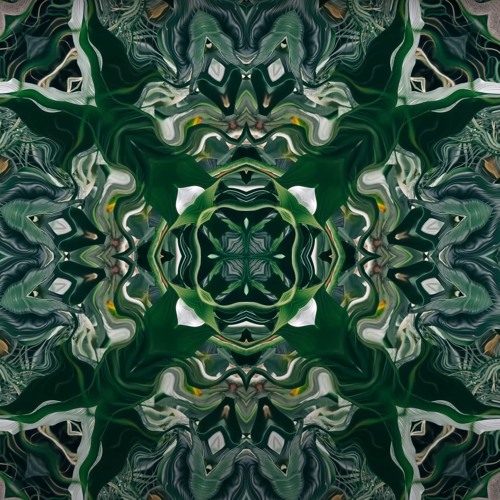 Growth - Meditative Session 5