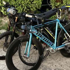 픽시타는 니네들이 찾는 빠스빠스(tashi tashi bashi bashi)