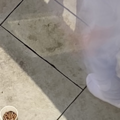 early in the morning