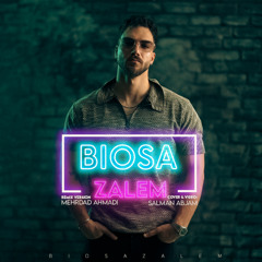 Biosa - Zalem (Remix)