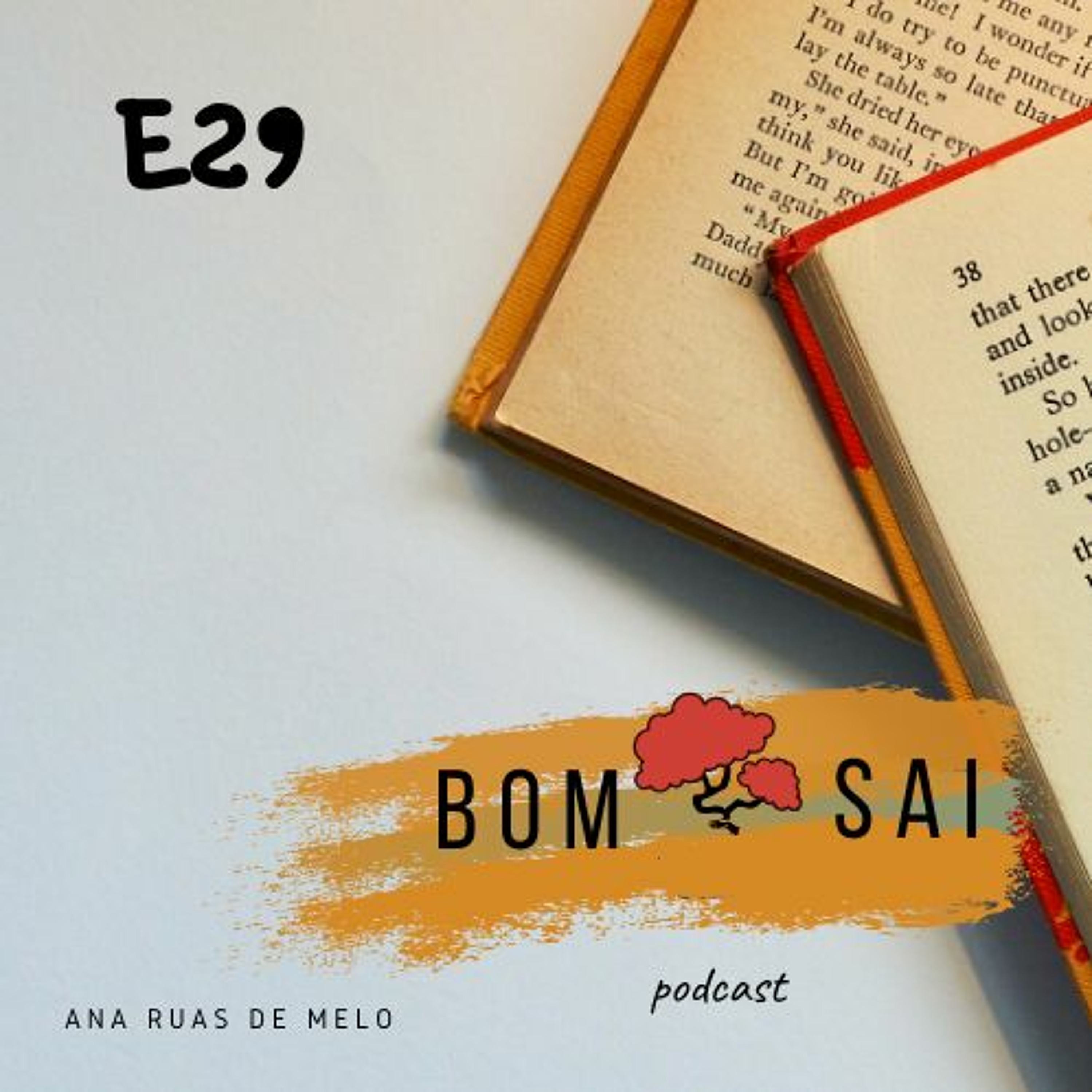 Episódio 29 - Excertos de livros que me marcaram #1