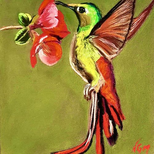 Let It Fly