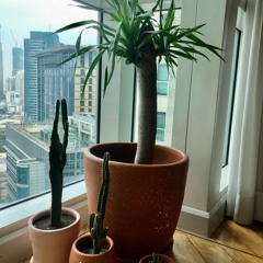 054 - The Wim Hof Breathing Method