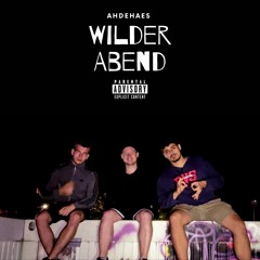 Adhs420 - Wilder Abend