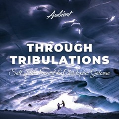 Salt of the Sound & Christopher Galovan - Through Tribulations