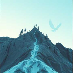 Born and Raised Rockies