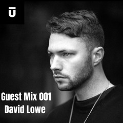 Tribu Guest Mix 001 - David Lowe