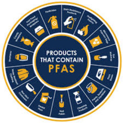 Election Connection | PFAS "Forever Chemicals" and their Impacts| Teena Halbig Moderator | 11-5-24