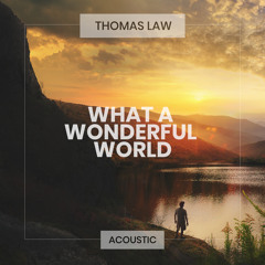 What a Wonderful World (Acoustic)