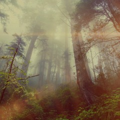 For Now(Prod.UNLUCKY)