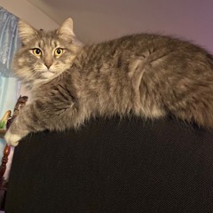 My Favorite Music 😝💕