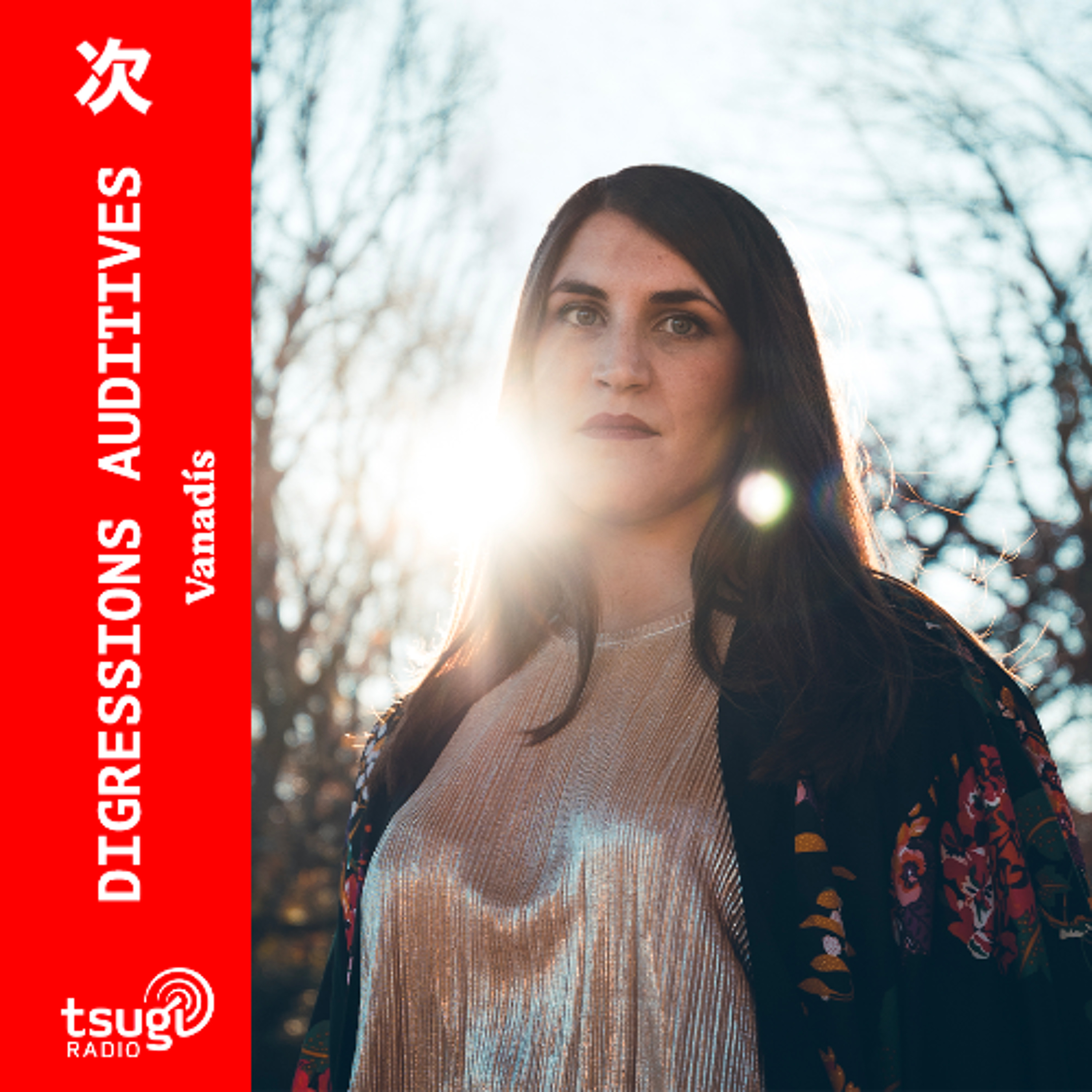 Vanadís - Digression Auditives · Mai 2025