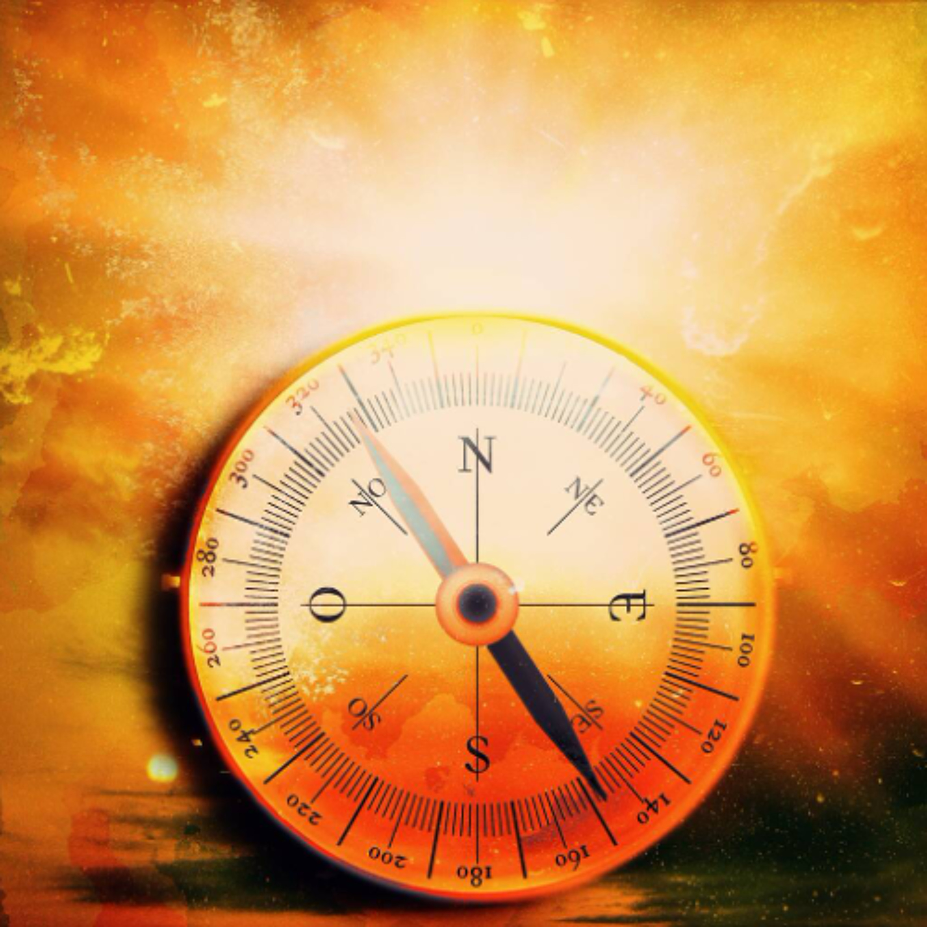 The Pursuit of Meaning (Rabbi Sacks on Vayikra, Covenant & Conversation)