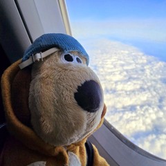 HIT ME UP CHIM SAU - BINZ