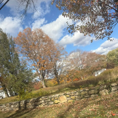 swerve (prod marrgielaa and cryo)