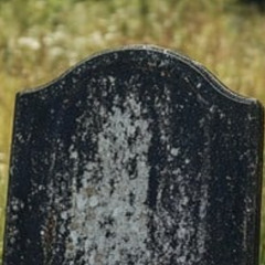 spinky malinky thinks someone walked over the grave
