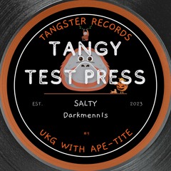 Salty (UKG Mix) - Free D/L