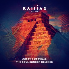 The Soul Condor (Reichelt & Raycoux Remix)