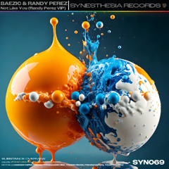 Baezic & Randy Perez - Not Like You (Randy Perez VIP) [SYN069]