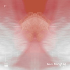 Moodykid - Dubbin the Funk Out /HEAD005/