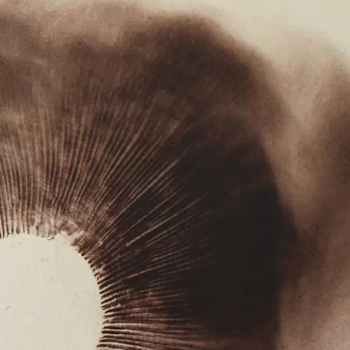 Delayed spores