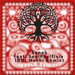 Desert Raven - Seneh (Bliz Nochi Remix) Feat SoulPacifica