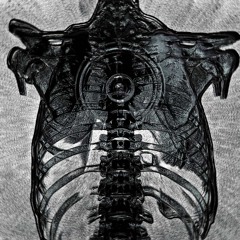 for fun *p. hogyokou + luvxomea