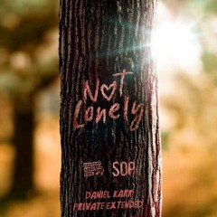 Gestört Aber Geil X SDP - Not Lonely (Daniel Karr Private Extended)