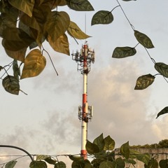 TI.KI - BAMA 26 (Demo)