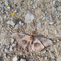 January 2023 (unfinished)