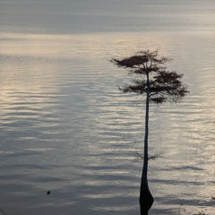 -Haʔ Kanęherathéhčreh-.m4a