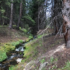 Blue River, Colorado, USA