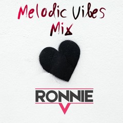 Melodic Vibes Mix 5