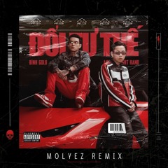 ĐỔI TƯ THẾ - BÌNH GOLD x ANDREE RIGHT HAND (MOLYEZ REMIX)