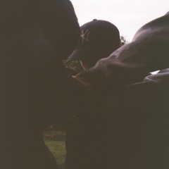 DJ HOME INVADER PART II