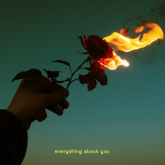 everything about you