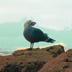 I KINDA WANNA BE A BIRD