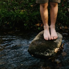 Born A Stepping Stone